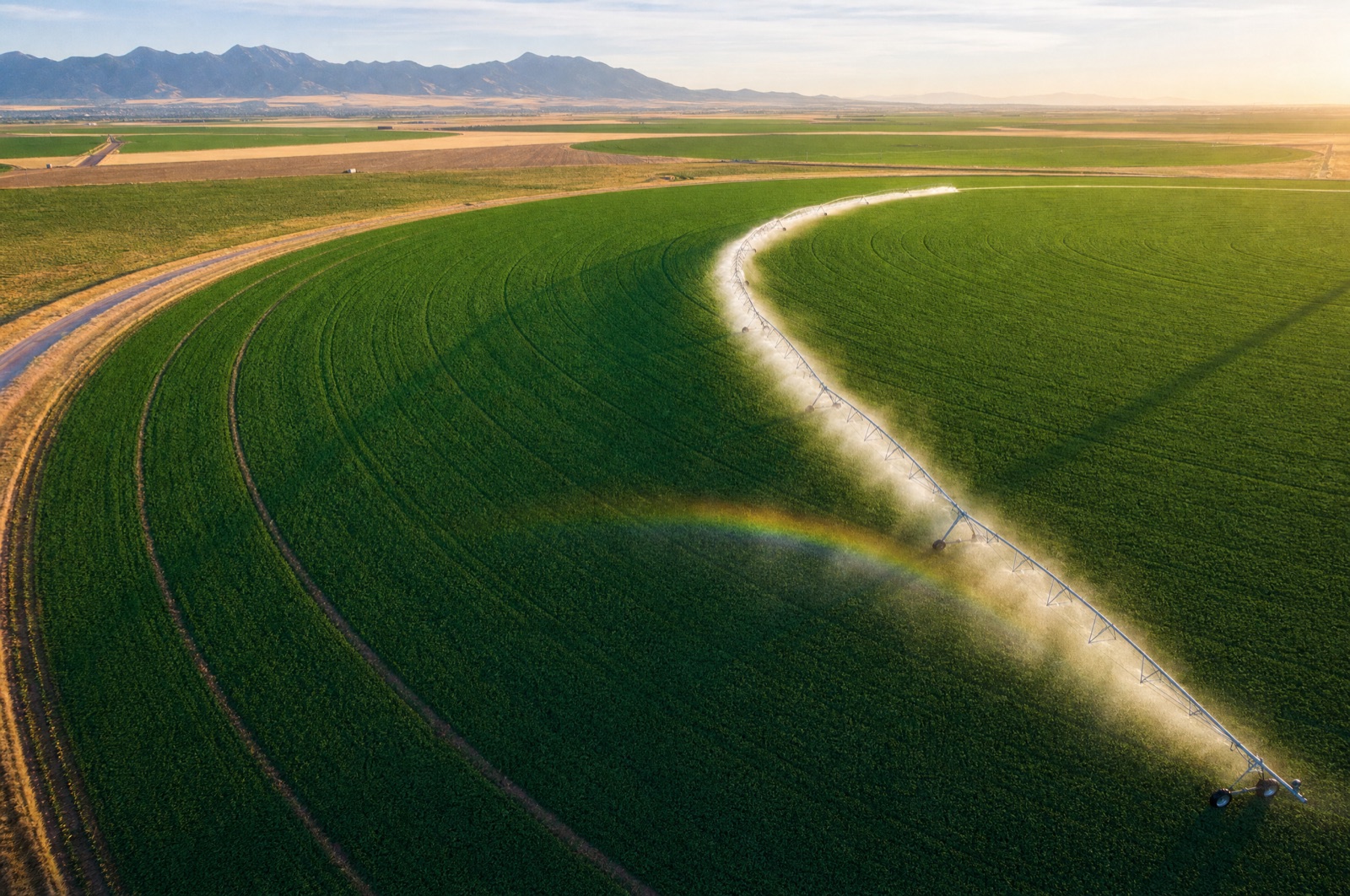 Center-pivot irrigation system watering a circular green field